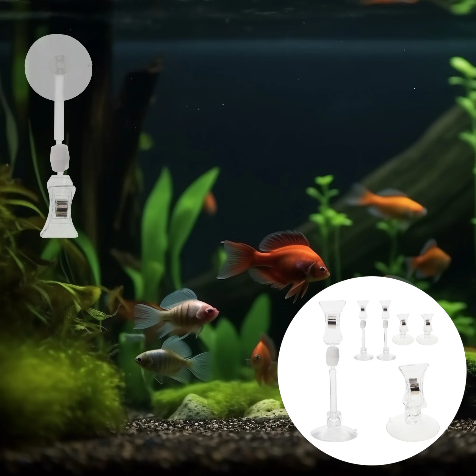 6 Pcs Fish Tank Accessories Aquarium Suction Cup Clip Betta Feeding Tool Seaweed