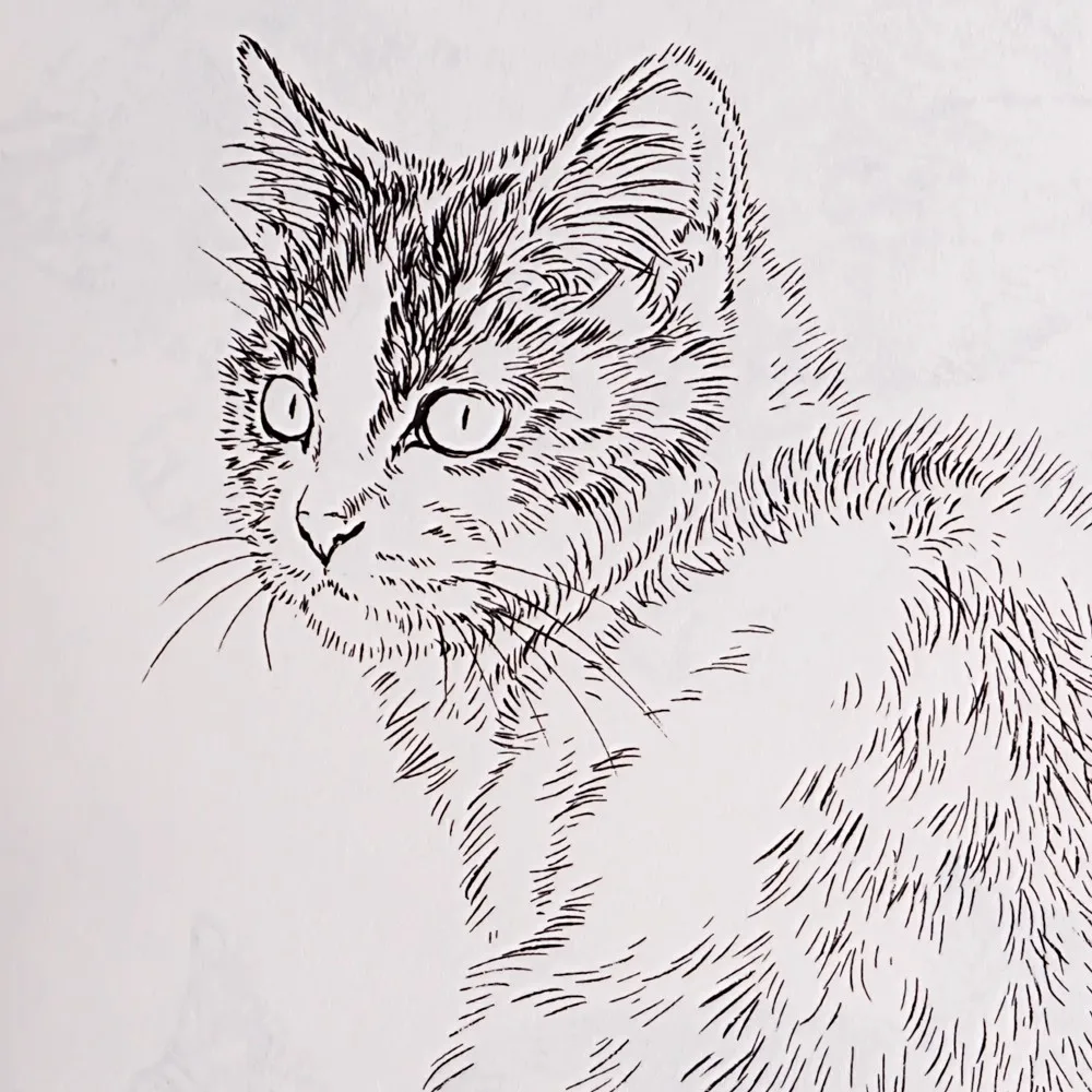 94Pages Hundred Cats Chinese Line Drawing Collection Coloring Book for Adults/Kids Relaxation and Anti-Stress Painting Reference