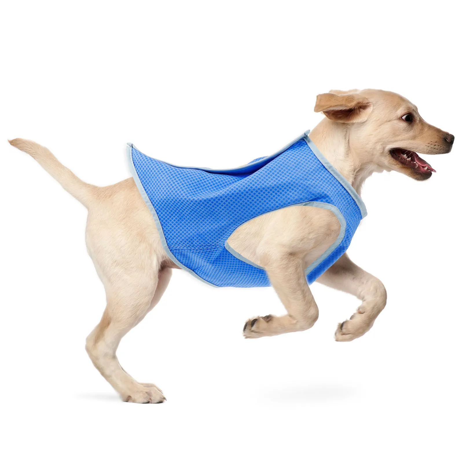 

Cooling Vest Pet Cooling Vest Dog Cooling Vest cooling for dogs