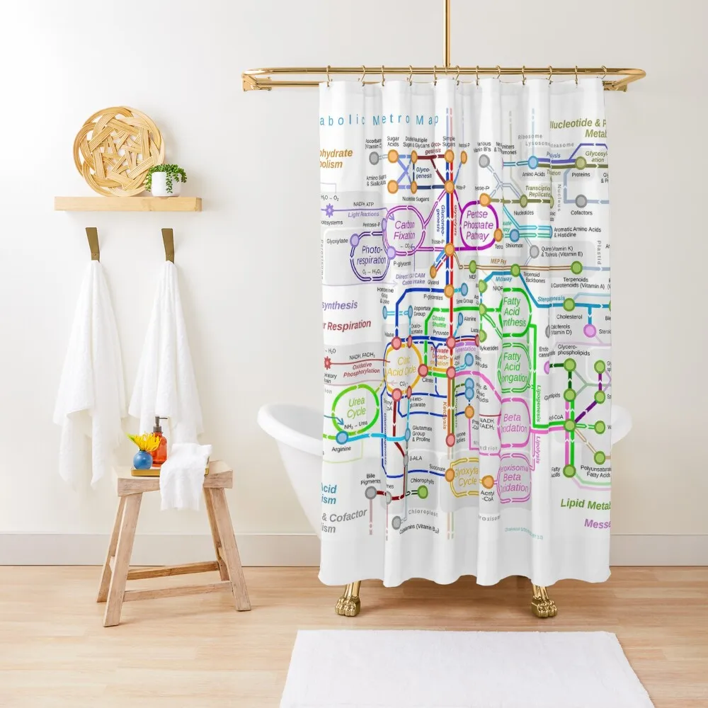 

Metabolic pathway Shower Curtain Bathtub Bathroom Deco Bathroom Shower Modern Showers For Bathroom Curtain