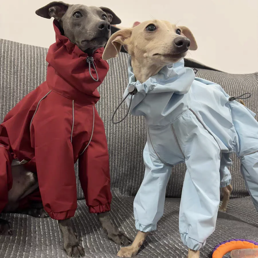Frühling Sommer Blauer Regenmantel für Italienische Windhunde Winddichte Wasserdichte Jacke mit Rotem Reißverschluss für Whippets Reflektierender Streifenmantel – Detail 20