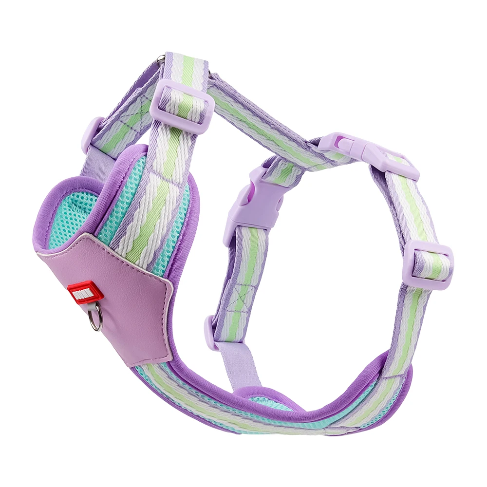 Color Block Harness For Small Dogs Breathable Mesh Pet Walking Lead_voghion.com