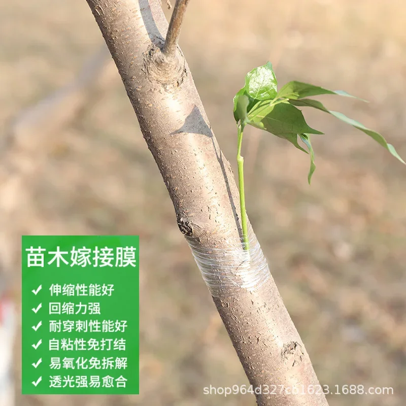 

Garden Tools, Fruit Tree Secateurs, Engraft Branch Gardening, PVC Tie Tape, 100/120/200M/Roll Grafting Tape, Bind Belt