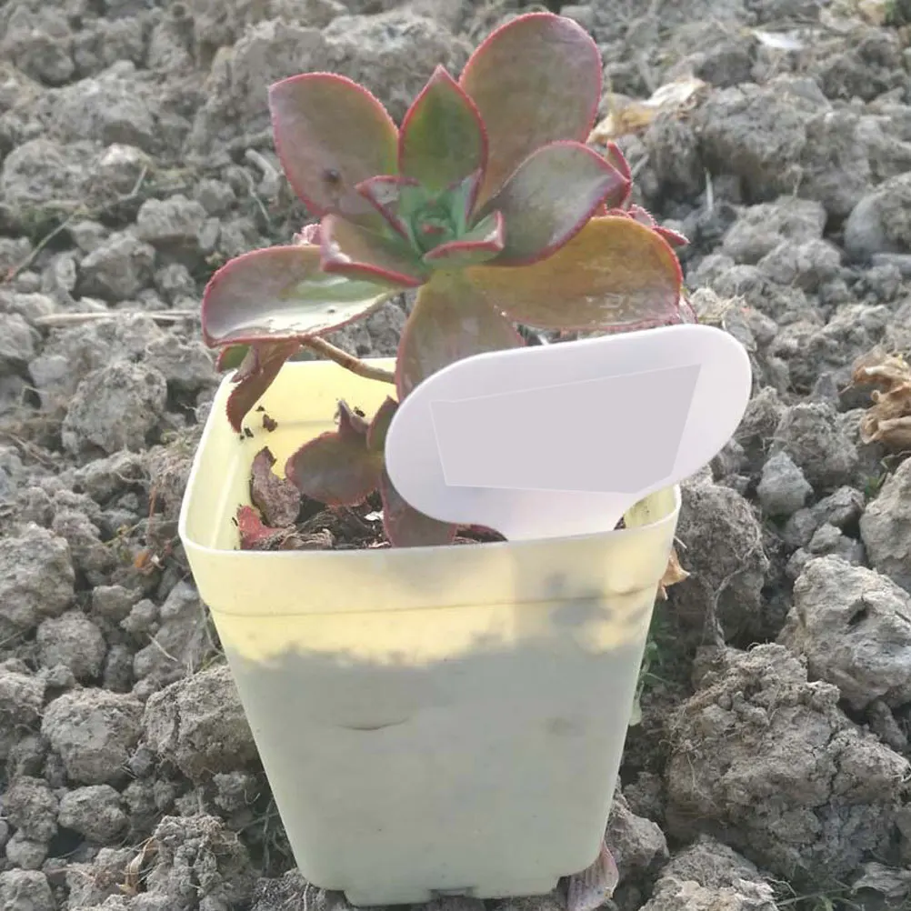 

100Pcs Durable Reusable Plant Tags T-Typed Garden Label Markers Easy to Read Insert Soil Long Service Life Plant Tags