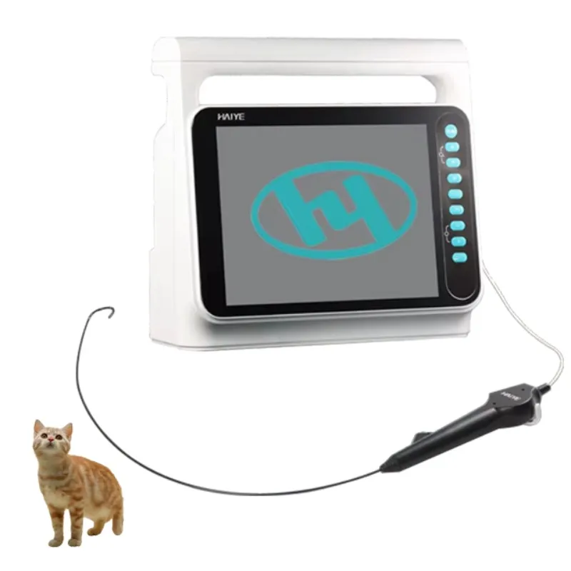 ENT Endoscopy Flexible RhinoLaryngoscope Ureteroscope Single Use for Internal Observation Use