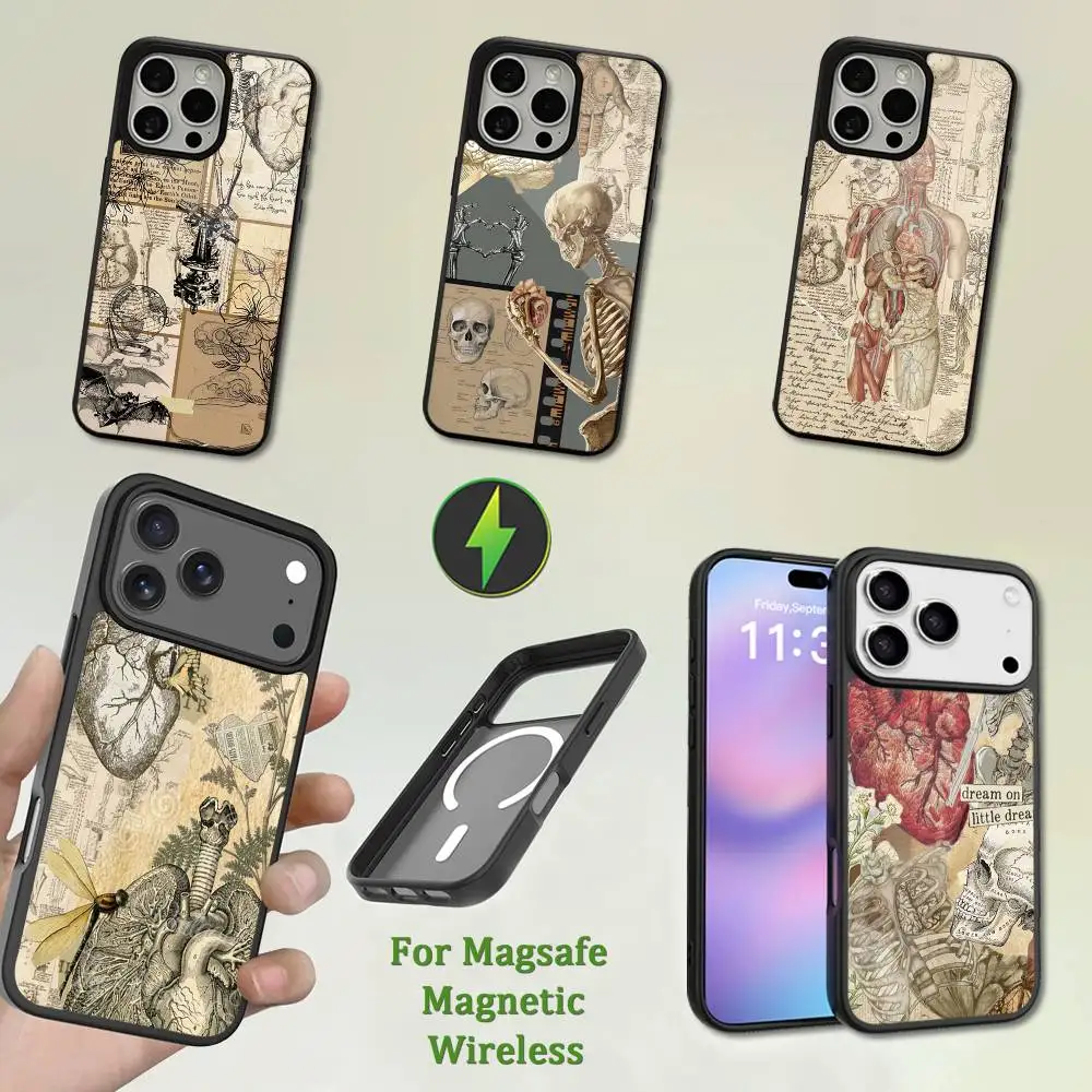 

Medical Art Human Anatomy Phone Case For iPhone 13,12,11,16,15,17,14,Pro,Max,Plus,Mini,Magsafe,Magnetic Wireless Charging