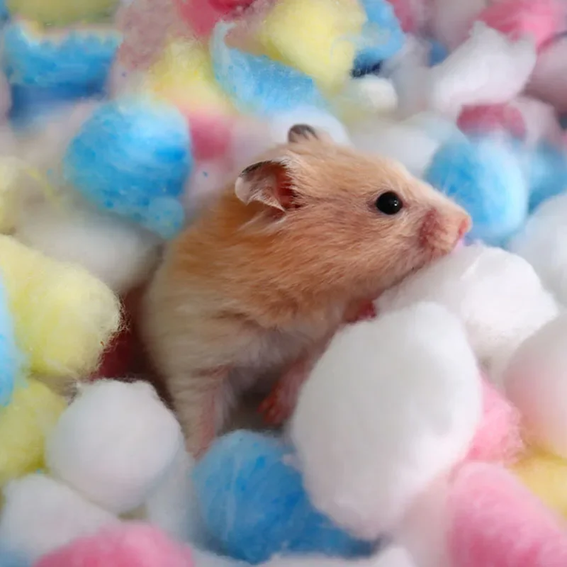 100Pcs/Bag Colorful Small Animals Toys for Hamster Rat Mouse Winter Keep Warm Cotton Ball Cute Cage House Filler Supply