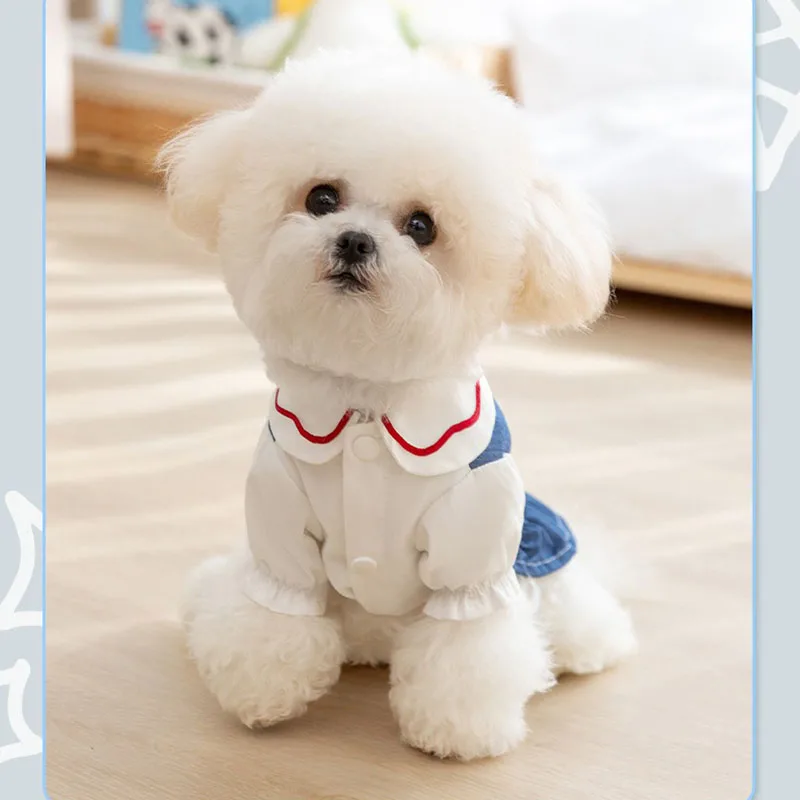 Klassieke denimkleding zomer hondenrok puppy anti-haar val dunne jurk bichon frise huisdierkleding vrouwelijke hond prinses rok