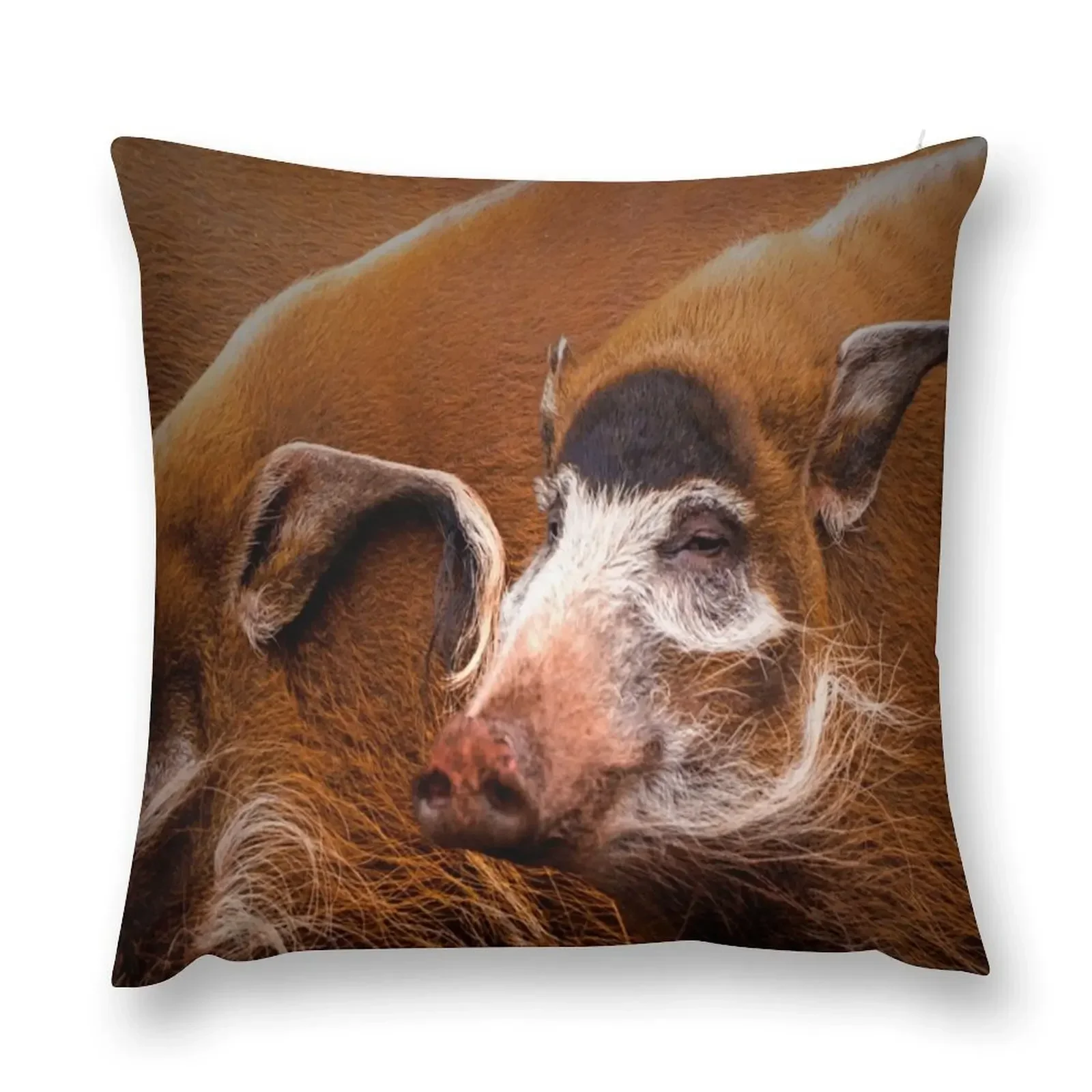 

Zoology - Red River Hog Throw Pillow ornamental pillows Sofas Covers Decorative Cushions luxury sofa pillows pillow