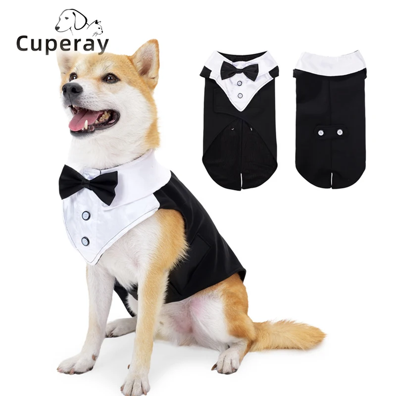 Couture canin Comment choisir le costume pour chien mariage parfait pour votre compagnon