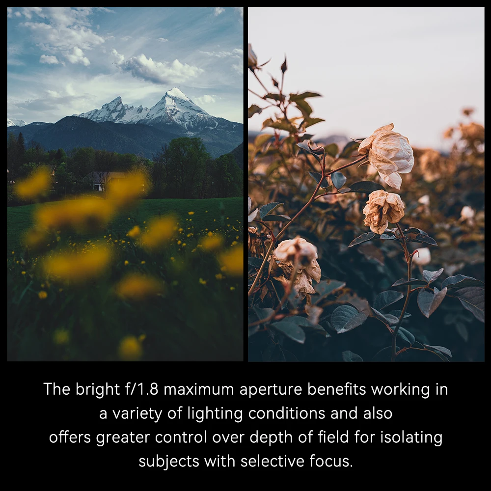 7artisans 25mm F1.8 APS-C Obiettivo a focale fissa manuale a grande apertura per Sony E ZEV10 A6400 A6500 NEX-3 Fujifx X-A1/X-A2 X-T1 X-T4 X-H2 Olympus e Panasonic M4/3 E-PL1/E-PL2 E-M1 GH1/GH2 Lumix G85 Nikon Z Z50/ZF