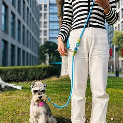 Correas reflectantes de nailon para mascotas, cuerda de tracción para correr, caminar, manos libres, perros pequeños y grandes