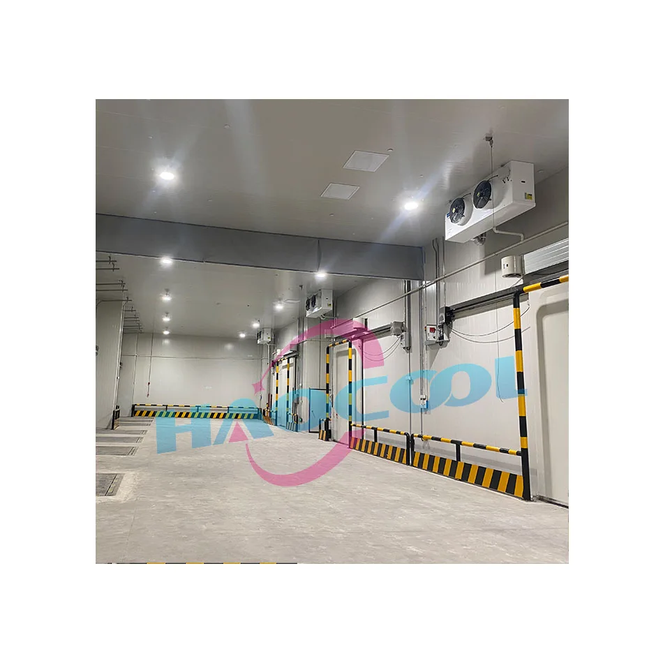 Attrezzatura industriale per celle frigorifere per celle frigorifere di qualità eccezionale