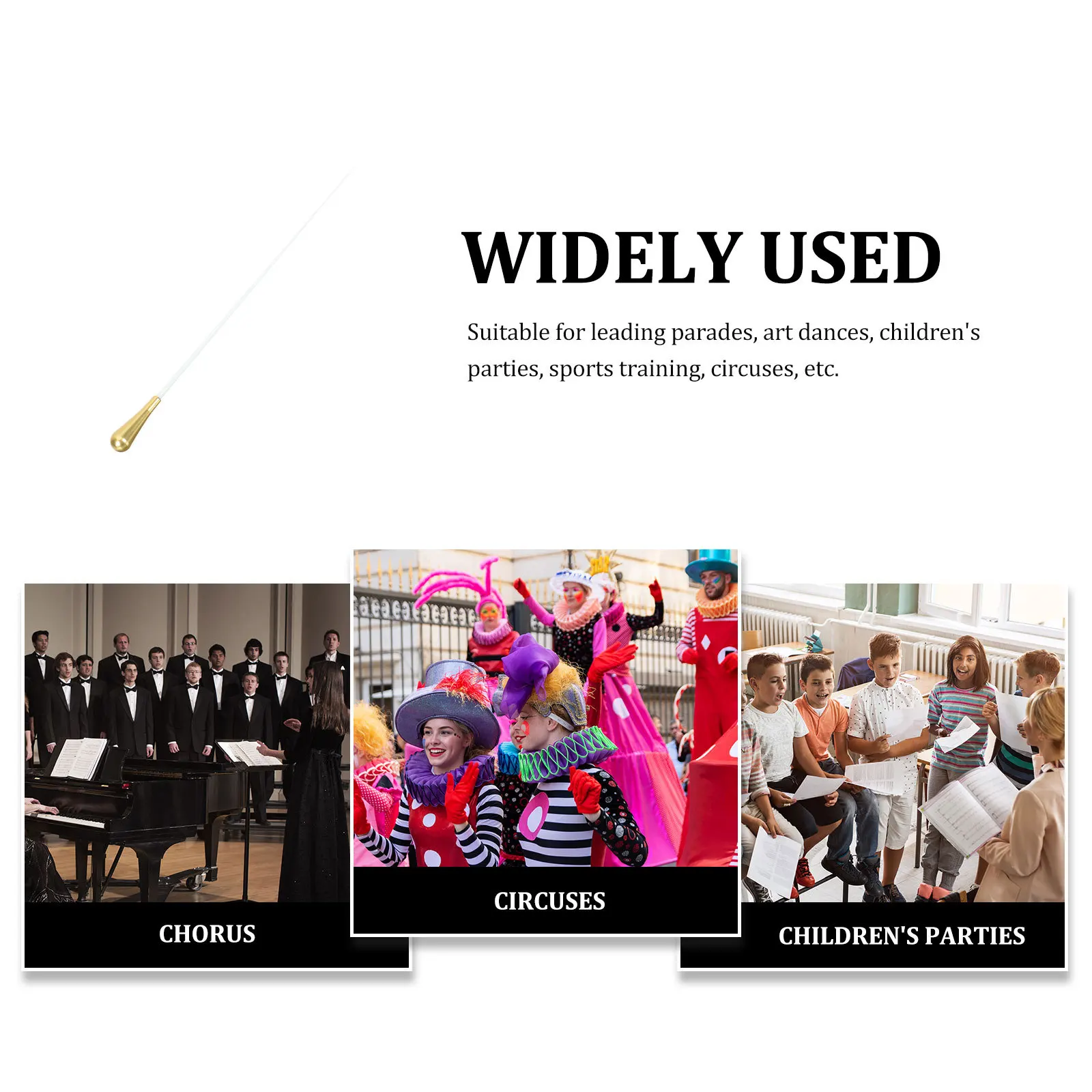 

Professional Orchestra Conducting Stick Portable Music Conductor Elegant Design for Concert Performance and Show