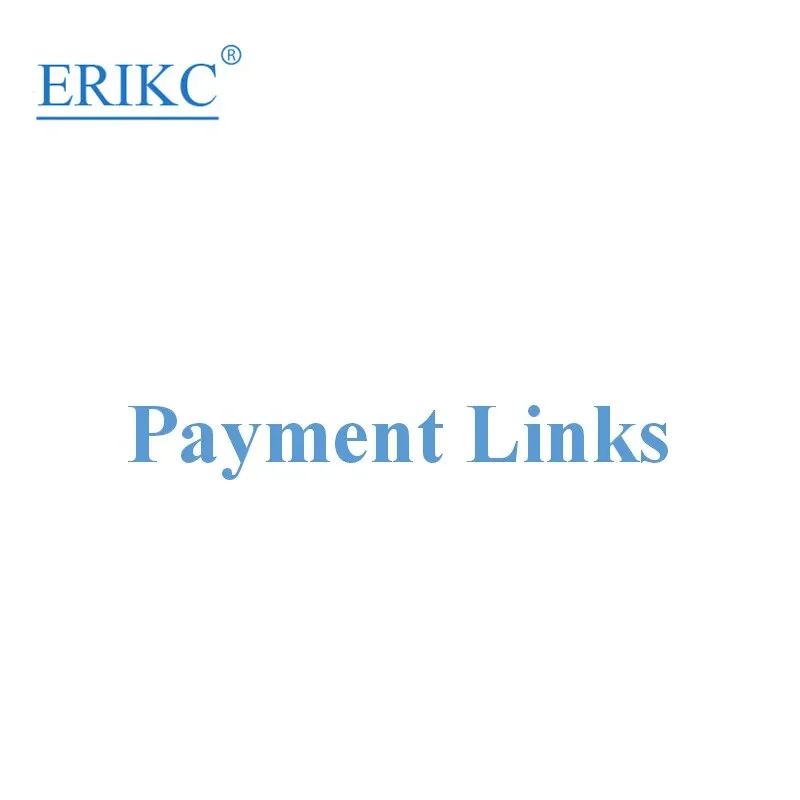 

1ERIKC Payment link as we agreed