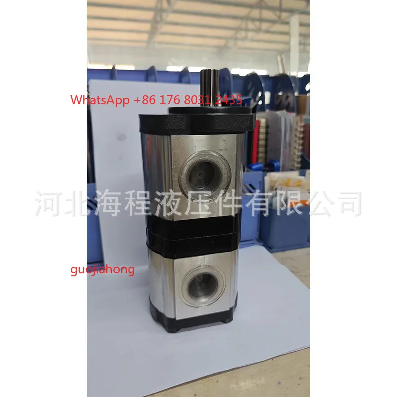 

AKK21189 double pump R983078026