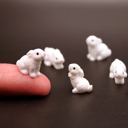 Minifiguritas de conejo de resina, adorno de micropaisaje de jardín de hadas en miniatura de animales de granja, decoración artesanal DIY, 5/10 piezas