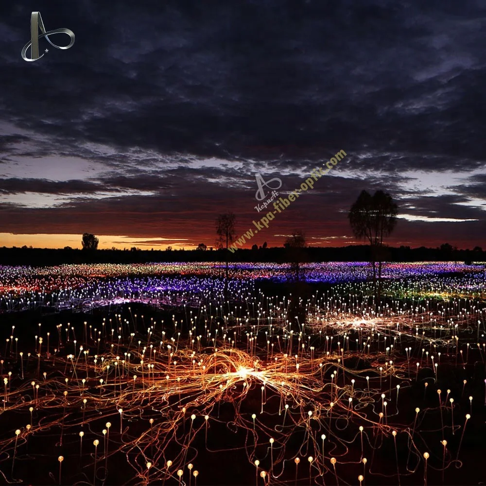 

ZXY Colorful Outdoor Ball Lights for Garden Decorative Lights Outdoor Fiber Optic Lights Waterproof