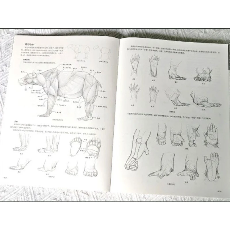 Making It Easy To Master Animal Drawing Skills Quick Sketch Map of Various Animal States, with Over 1000 Illustrations