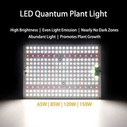 LED Grow Light  65W 85W 100W 120W 150W Full Spectrum LM281B Chips Hydroponics Plant Growth Lamp Quantum Board