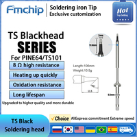 TS100 TS101 Pine64 High-quality Replacement Black soldering head Quick Heating Stable Temperature More Durable Pinecil V2 TS tip