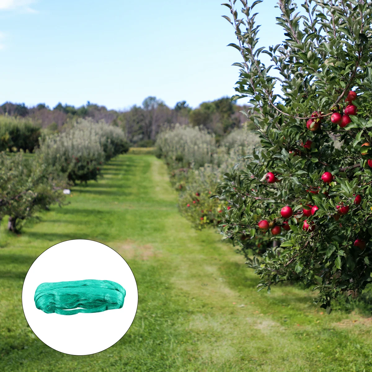 

Anti Bird Protection Net Mesh Reusable Garden Netting Protect Fruit Trees Vegetables Shrubs Flowers Bird Netting Barrier