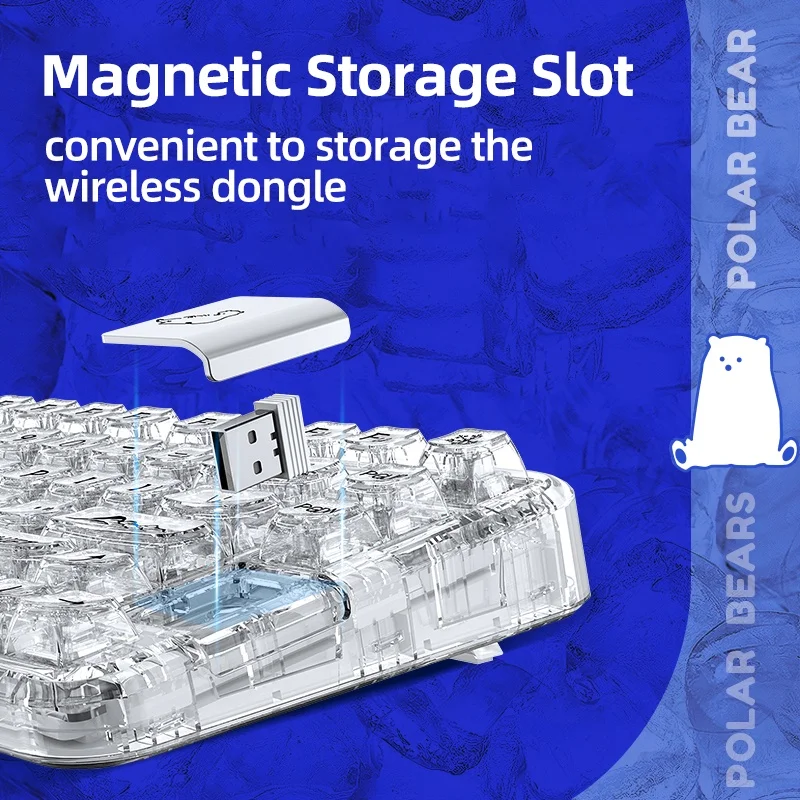 Imagem -06 - Junta Transparente sem Fio Coolkiller para Teclado Mecânico Urso Polar Entrega Direta de Estoque Ck75