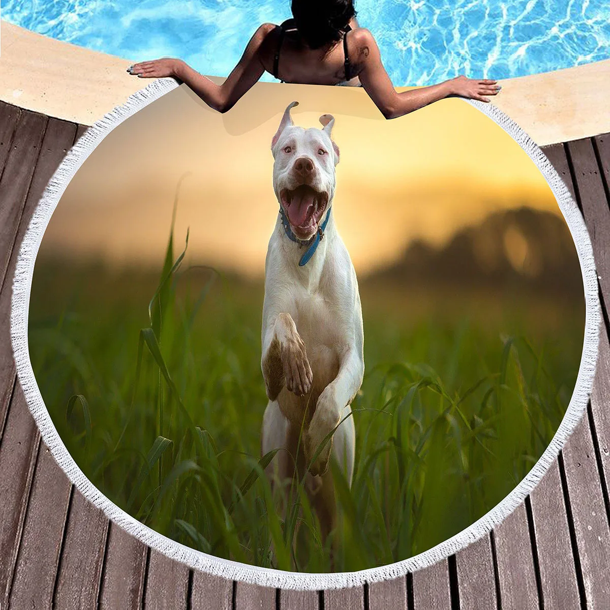 منشفة شاطئ مستديرة للكلاب من Bull Terrier، بطانية شاطئ لطيفة من الألياف الدقيقة الناعمة للحيوانات الأليفة، منشفة حمام سباحة ماصة سريعة الجفاف، سجادة نزهة محمولة #4