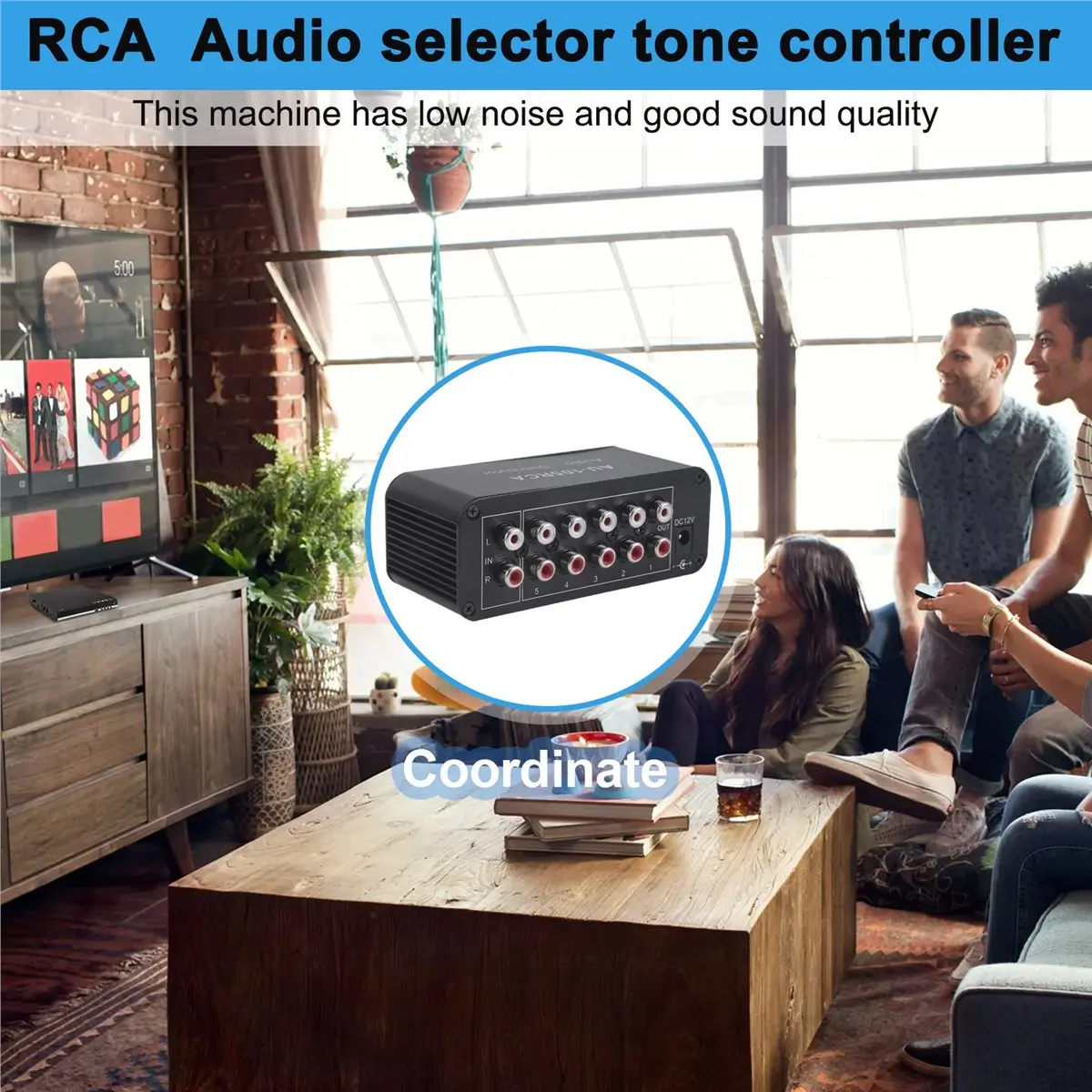 （Gift Idea）5CH Audio Distributor Stereo Audio Mixer 1 Input 5 Output Splitter for Power Amplifier Active Audio