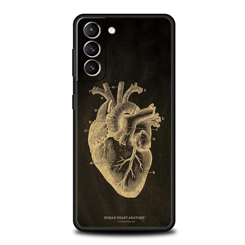 Anatomy Skeleton Chalkboard Body Heart Phone Case For Samsung Galaxy S25 S24 S23 FE S22 Ultra S20 S21 5G S10 Plus S10E Cover