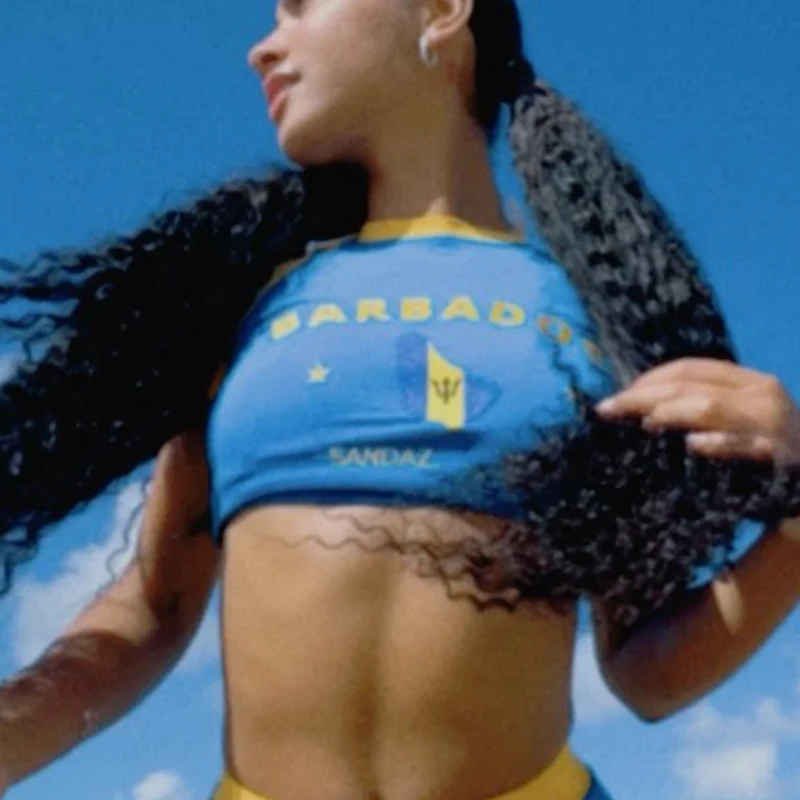 2024年ブルーセクシーバルバドス刺繍クロップトップス レディースTシャツ クロップドスリム ハイウエスト半袖サマートップス 女性用Tシャツ