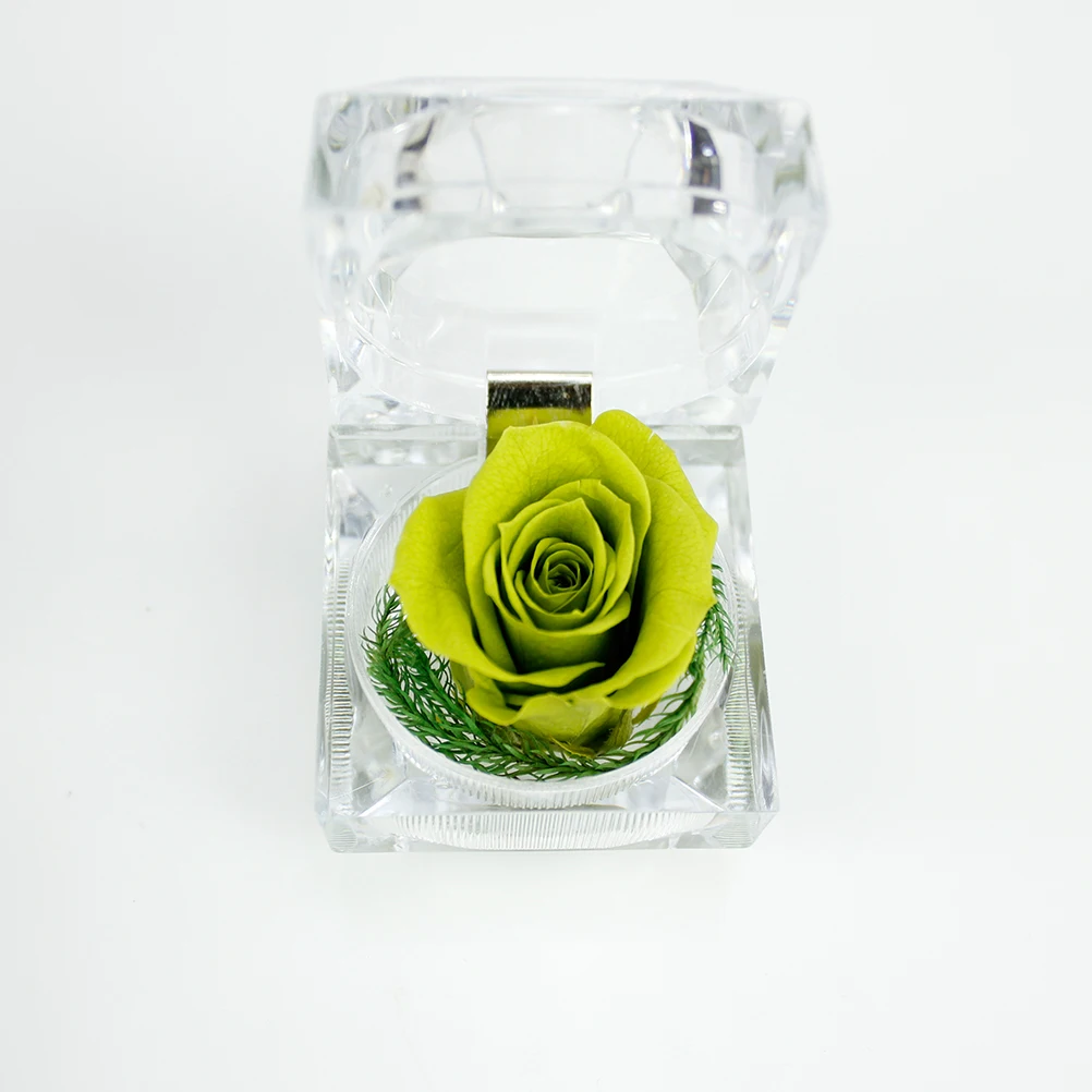 

Single Preserved Rose Flowers Bouquet Christmas Anniversary Gifts for Women Mother