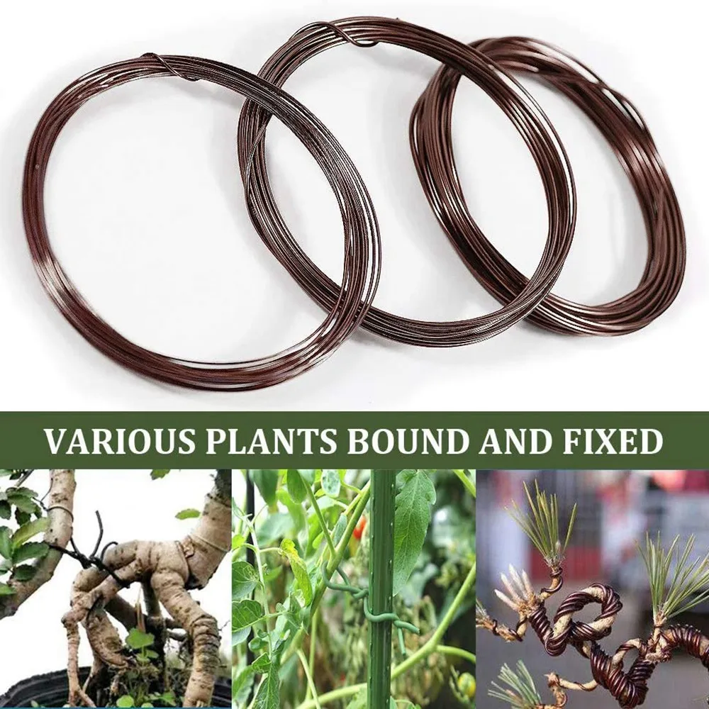 Bonsai Wire Kit- 9 Roll Anodized Aluminum Tree Training Wires in 3 Size for Shaping Styling Indoor Bonsai Trees - Brown