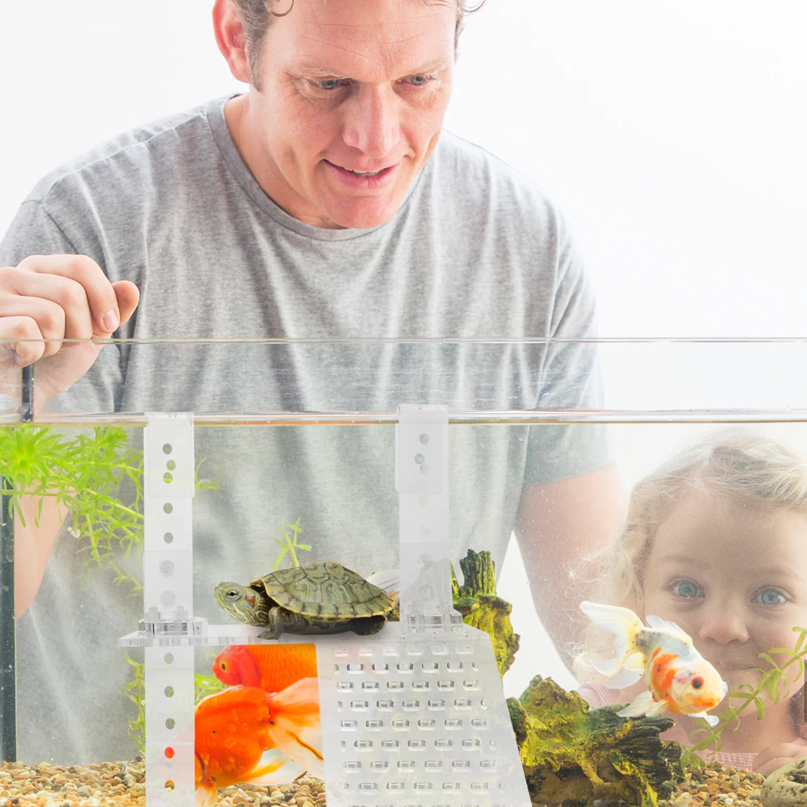 

1Pcs Turtle Basking Platform Hanging Acrylic Climbing Island Reptile Dock Tortoise Resting Terrace Aquarium Terrace