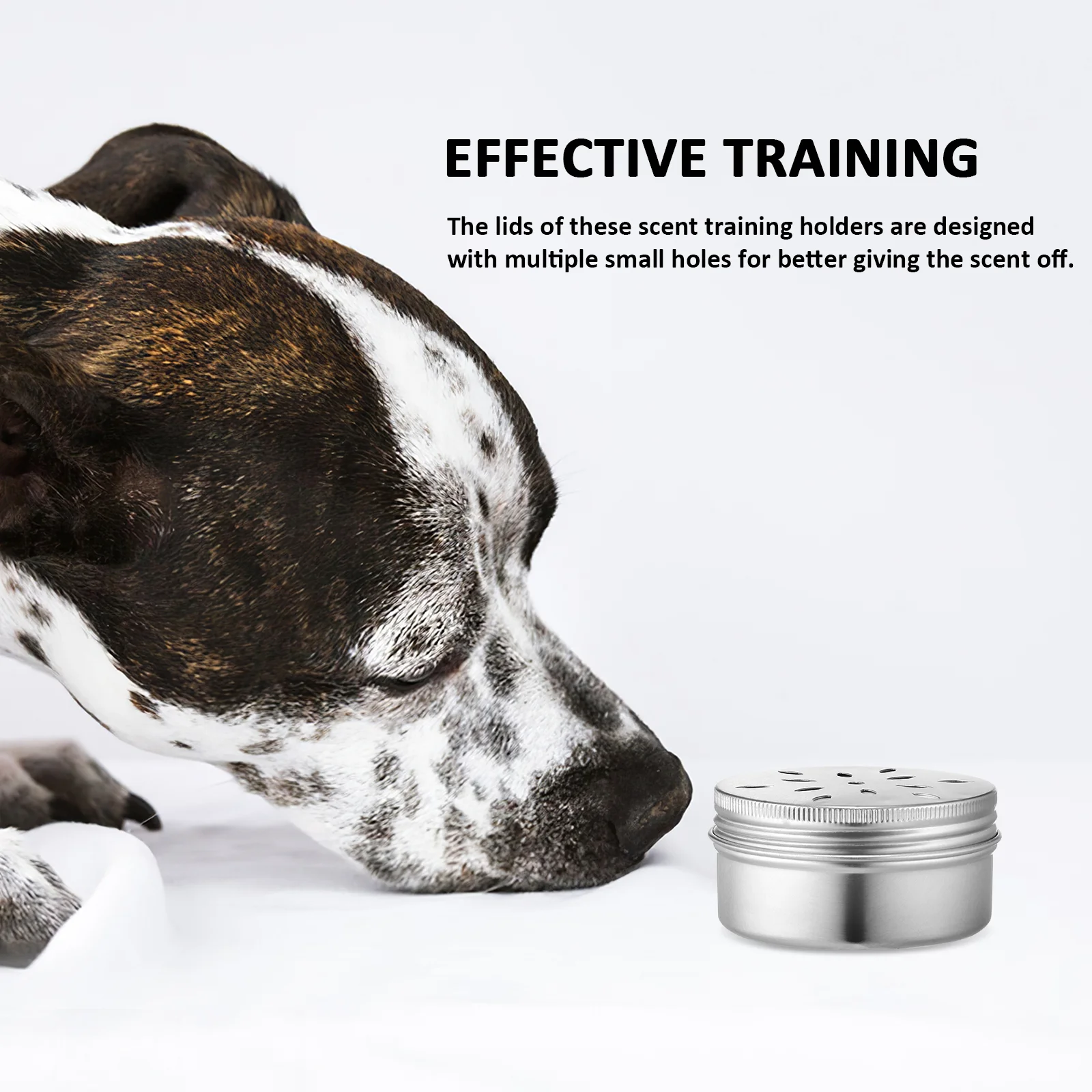 Scent Training Supplies for Holder Dog Box + Soft Magnetic Adhesive Food Container Agility Tools Nose Aluminum Case Work