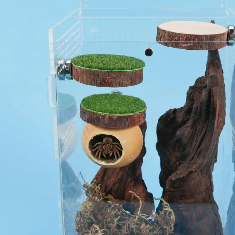 Handmade Mini Magnetic Hide Cave for Jumping Spider Habitat Secure Pet Spider House and Shelter