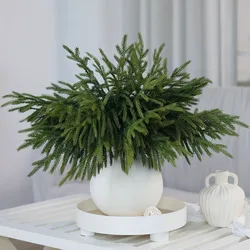 Real Touch Norfolk Pine Branch Artificial Christmas Green Plants Branches Faux Greenery Stem Fake Cedar Pine Picks for Vase