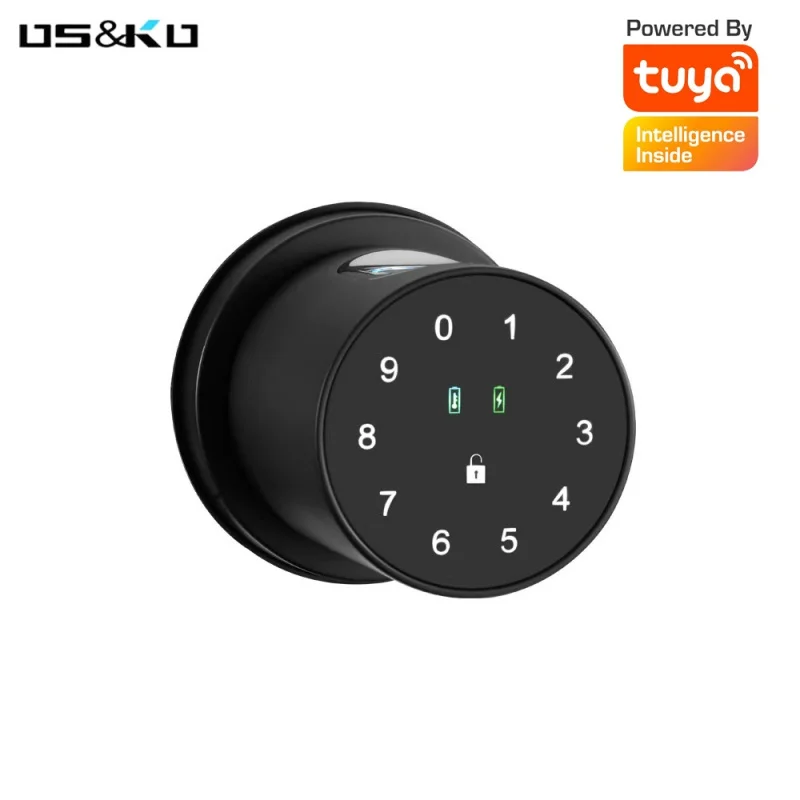 

Spherical Fingerprint Lock Graffiti App Bluetooth Fingerprint Password Unlocking Rental Room Apartment Office Wooden Door Smart