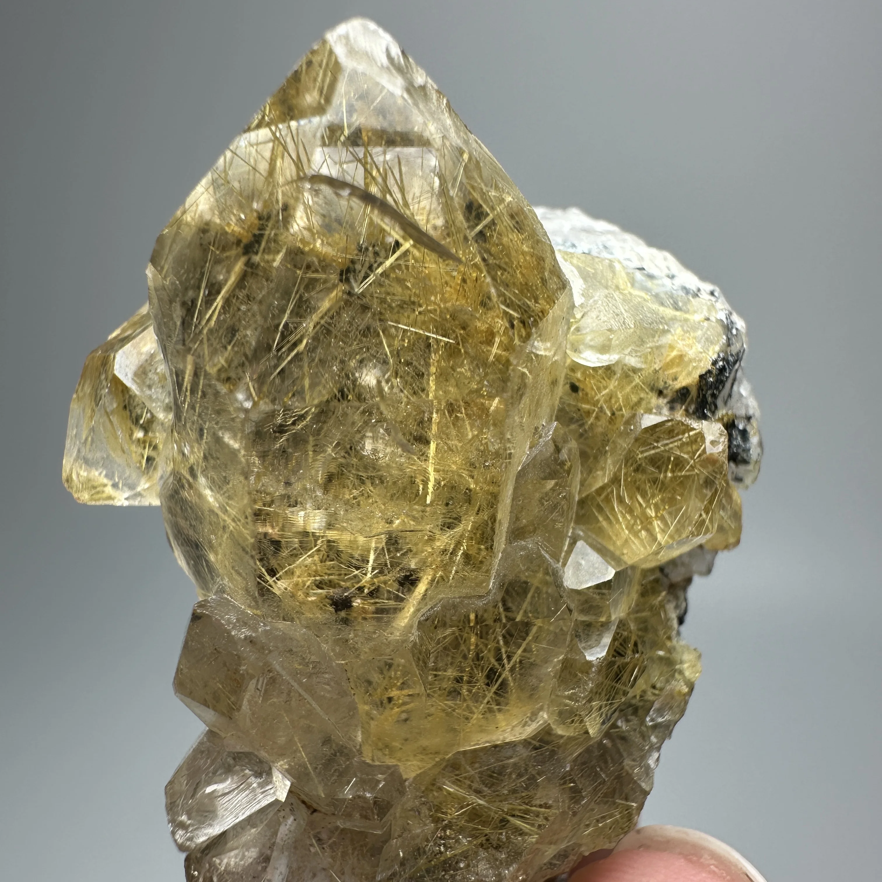 Natural Brazil Gold Rutilated Quartz Specimen with Specular Hematite Symbiosis Raw Crystal Mineral Collection