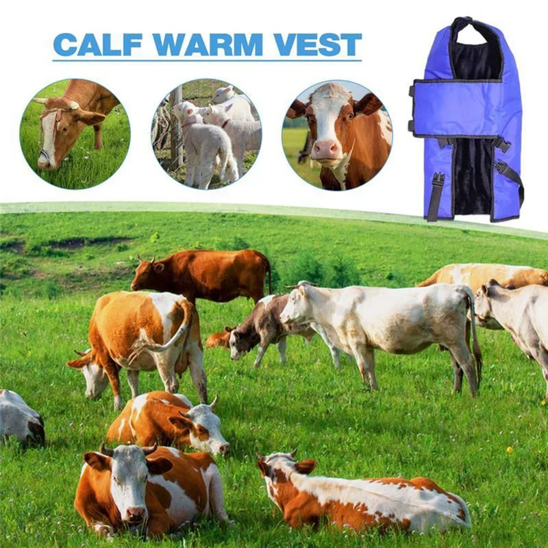 AT51-Waterproof Cobertor de proteção para gado Macio à prova de vento Jaqueta quente para panturrilha Jaqueta de proteção para panturrilha espessada