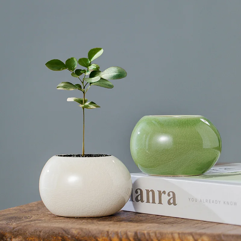 Petits pots de fleurs ronds colorés, petits pots de fleurs en céramique pour plantes succulentes, porte-fleurs créatifs et modernes