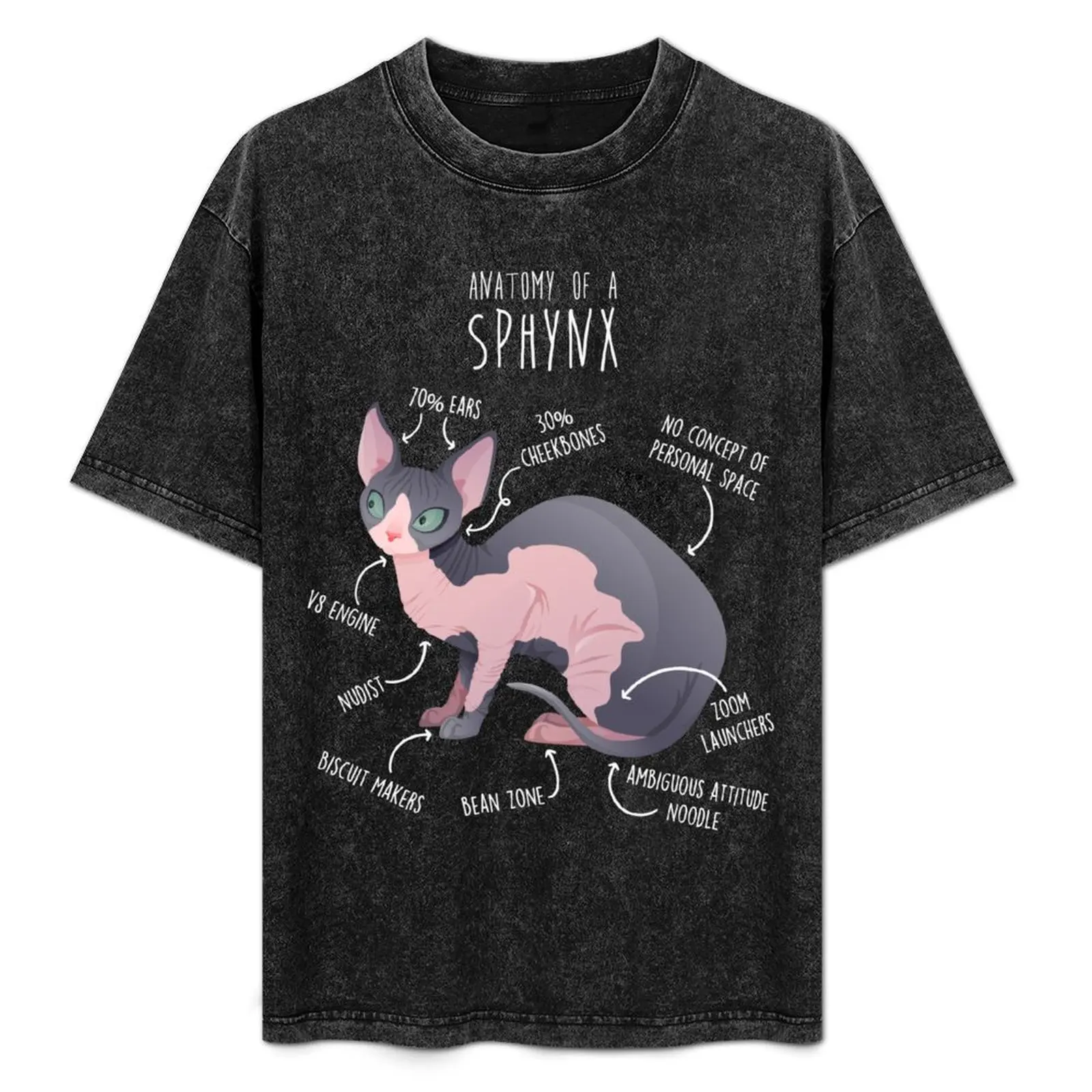 

Sphynx Cat Anatomy T-Shirt Daily Wear Print T-Shirt
