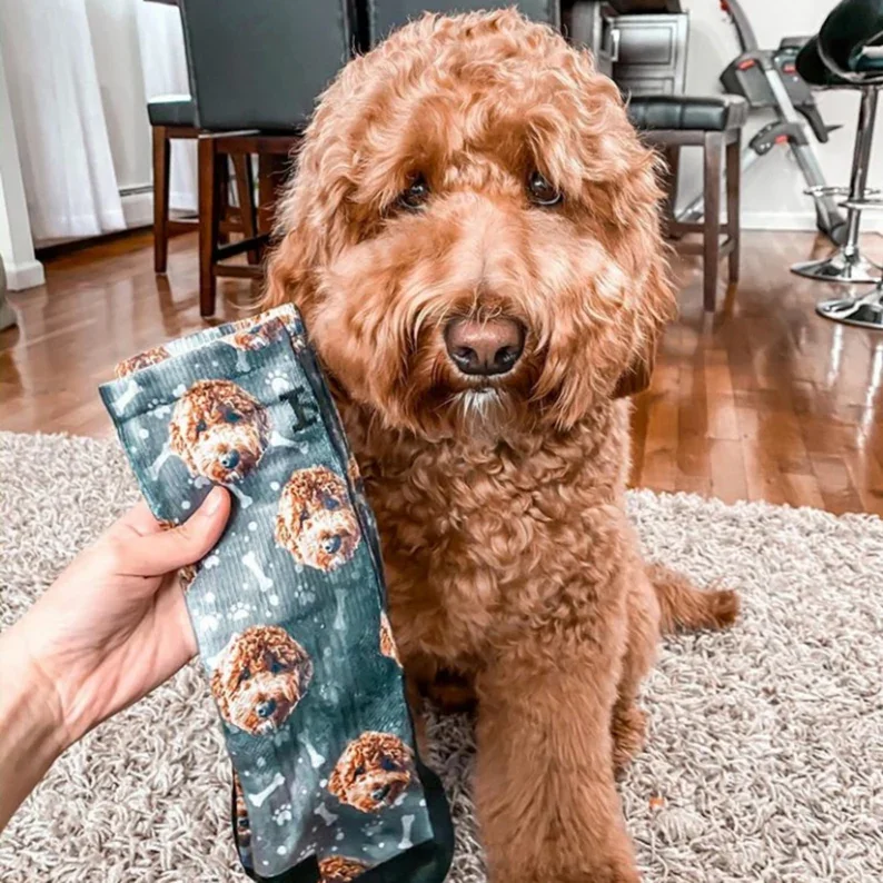 

Customized Dog Socks - Put Your Cute Dog on Custom Socks Dog Lovers GIft, Cute Pet Personalized,Gift Socks, Fathers Day Gift