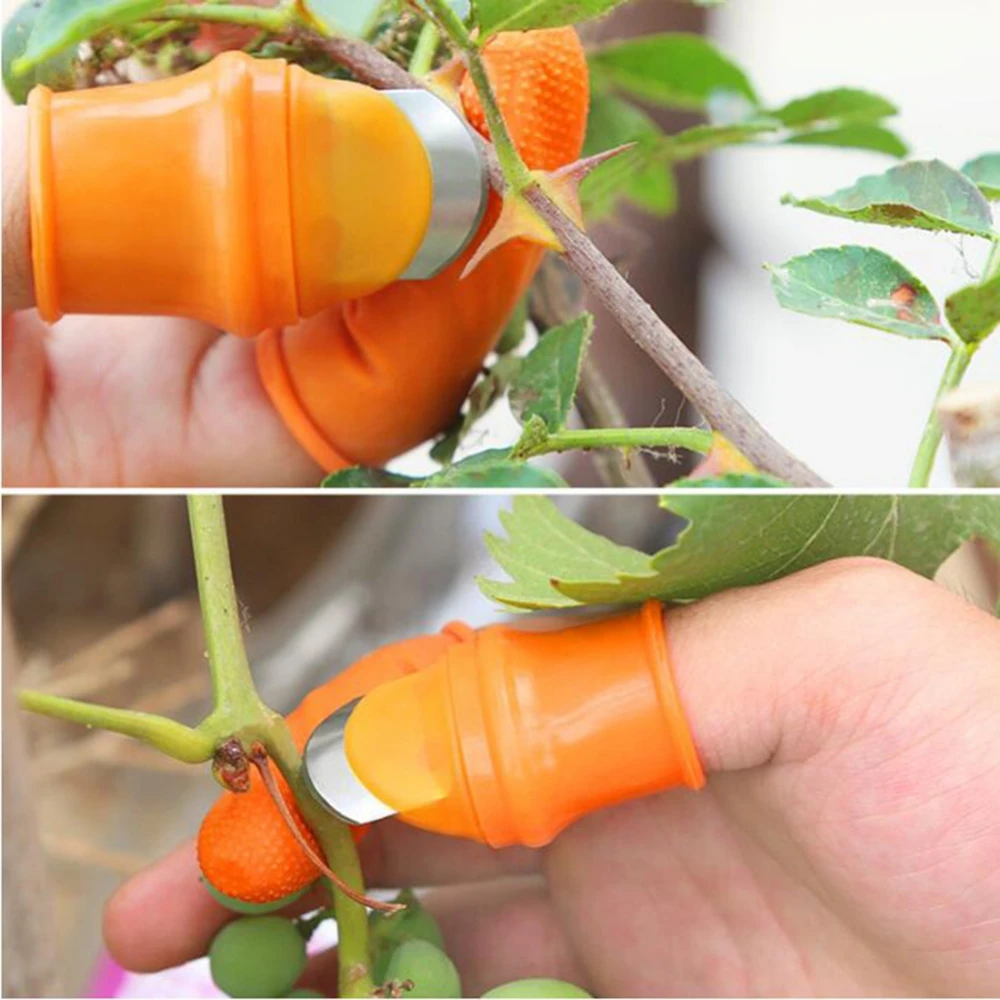 

1 Set Silicone Finger Protector With Blade For Fruits Vegetable Thumb Knife Finger Guard Kitchen Gadgets Kitchen Accessories