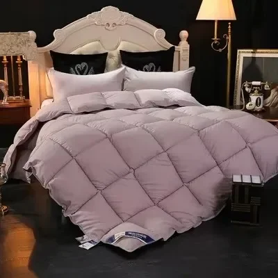 100% Goose Down Duvet Filled Quilt Single Double Size Comforter Winter Thick Four Seasons Blanket Solid Color Perfect Comfort
