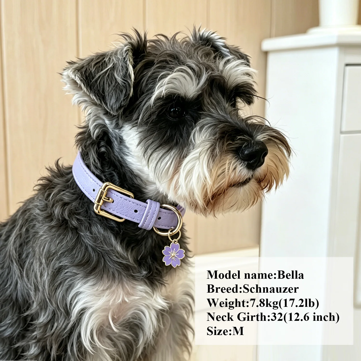 Luxury & Soft Leather Personalized Dog Collar and Pendant Pet Puppy Cat ID Nameplate Engraved for Small Medium Dogs