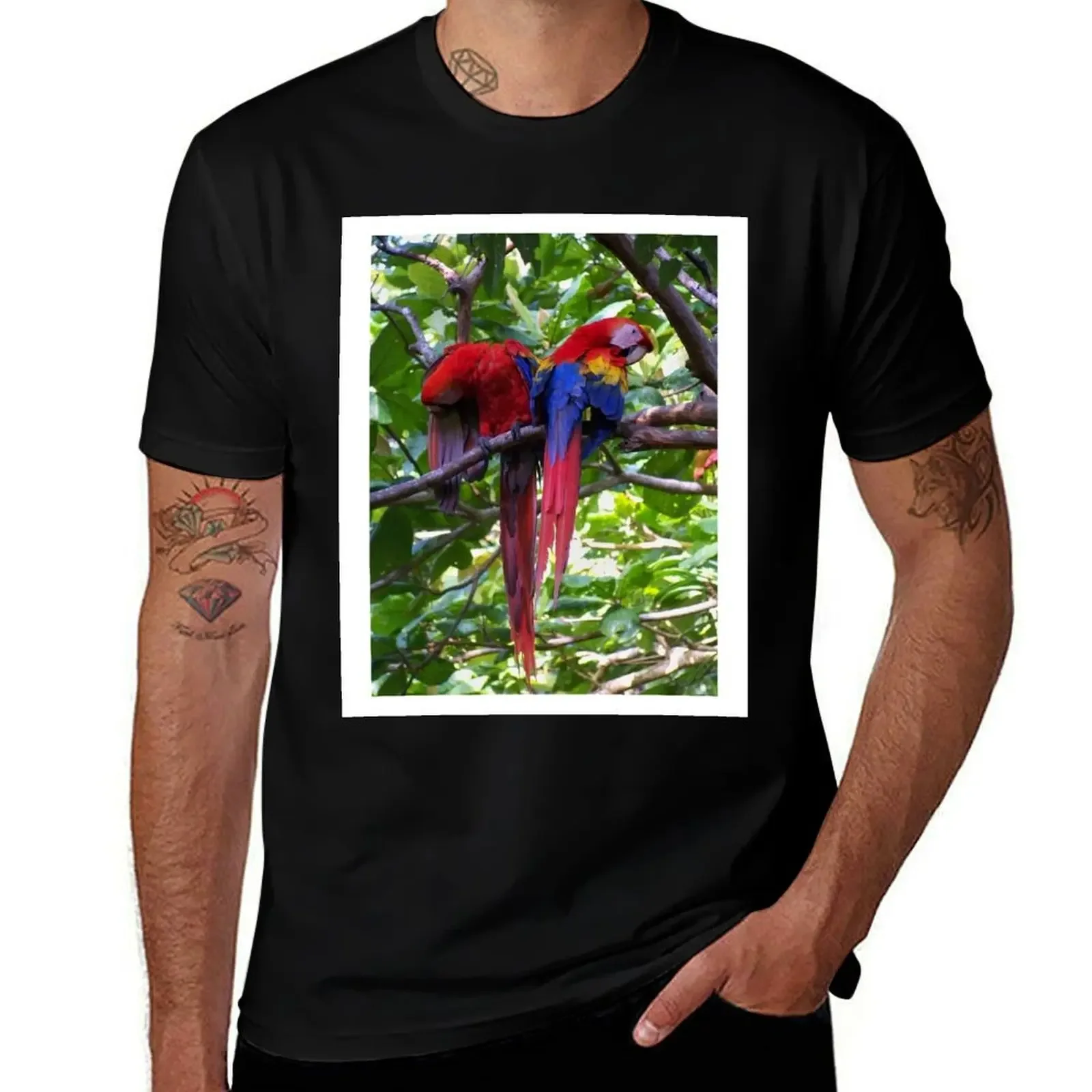 Scarlet Macaws T-Shirt kawaii clothes croswit shirt man gifts for boyfriend clothes for men