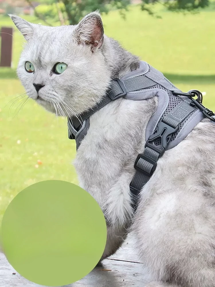 Cat Leash Vest Type Outdoor Special Anti-break Collar Walking Cat Leash Automatic Telescopic Strap