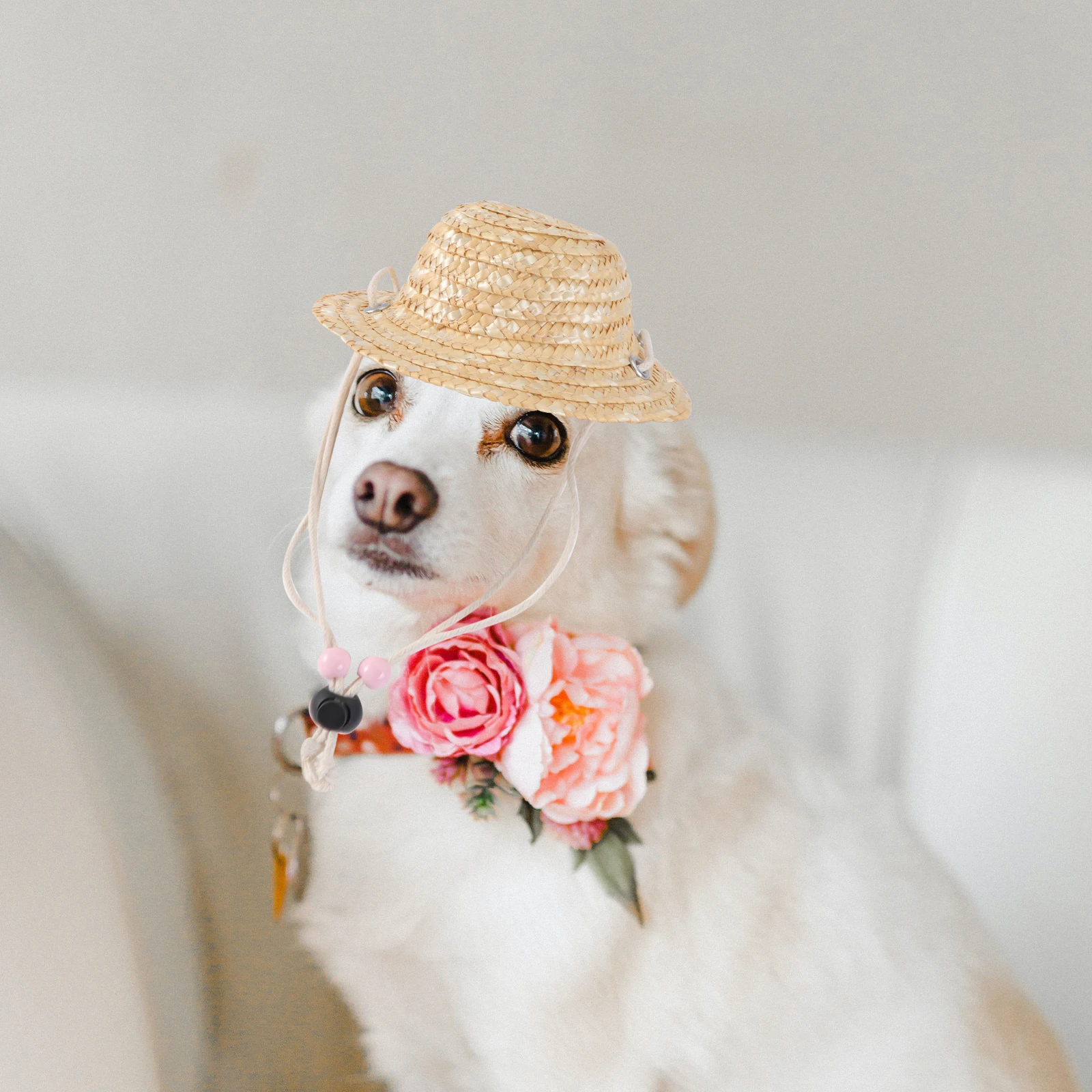 

Pet Straw Hat Exquisite Stylish Premium Material Cat Dog Supply Adjustable Summer Shade Photo Props Adorable Pet Wear Party