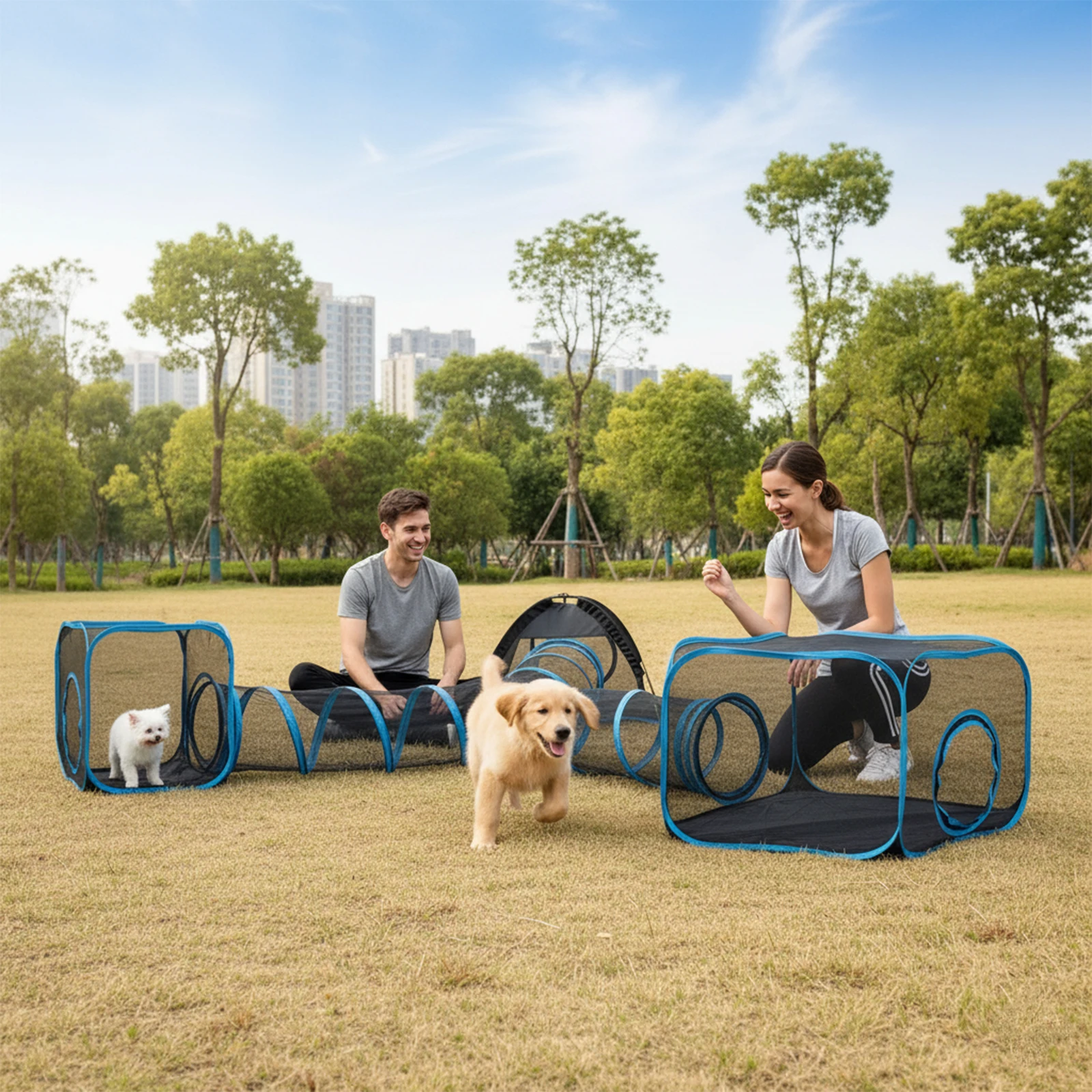 

Портативный уличный вольер-туннель для кошек с сетчатым домиком и сумкой для переноски, для использования в помещении и на улице, с металлическим каркасом